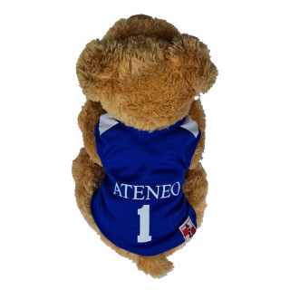 Pawsh Couture UAAP Ateneo V-neck Pet Jersey