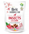 Brit Care Crunchy Snack Insects with Lamb & Raspberries 200g Dog Treats