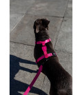 Zee.Dog Solids Pink LED Dog H-Harness
