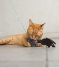 Zee.Cat Tango Wand Cat Toy