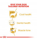 Royal Canin Breed Health Nutrition Poodle 1.5kg Dog Dry Food