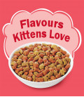 Purina Friskies Kitten Discoveries Cat Dry Food