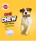 Pedigree Good Chew Beef Flavor for Small Dogs (5-10kg) 53g Dog Treats