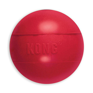 Kong Ball Dog Toy