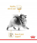 Royal Canin Breed Health Nutrition Pomeranian 85g Dog Wet Food