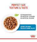 Royal Canin Size Health Nutrition X-Small 85g Puppy Wet Food
