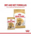 Royal Canin Breed Health Nutrition Shih Tzu 85g Dog Wet Food