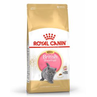 Royal Canin Feline Breed Nutrition British Shorthair Kitten Dry Food