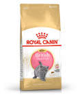 Royal Canin Feline Breed Nutrition British Shorthair Kitten Dry Food