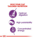 Royal Canin Feline Health Nutrition Sensible 33 Cat Dry Food