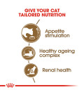 Royal Canin Feline Health Nutrition Ageing 12+ Cat Dry Food