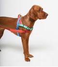 LIMITED EDITION Zee.Dog No-Pull Softer-Walk Mellow Dog Harness