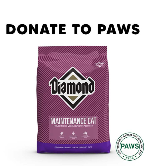 DONATE TO PAWS - 1 bag of Dog Dry Food