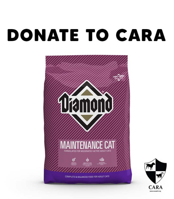 DONATE TO CARA - 1 bag of Dog Dry Food