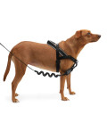 LIMITED EDITION Zee.Dog No-Pull Softer-Walk Gotham Dog Harness