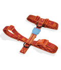 LIMITED EDITION Zee.Dog Jacquard Collection Gibson Dog H-Harness