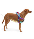 LIMITED EDITION Zee.Dog No-Pull Softer-Walk Shockwave Dog Harness