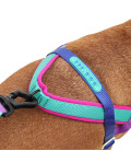 LIMITED EDITION Zee.Dog No-Pull Softer-Walk Shockwave Dog Harness