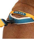 LIMITED EDITION Zee.Dog No-Pull Softer-Walk Voyage Dog Harness