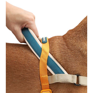 LIMITED EDITION Zee.Dog No-Pull Softer-Walk Voyage Dog Harness