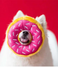 Zippy Paws Strawberry Donutz Plush Dog Toy