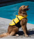 Outward Hound Granby Splash Dog Life Jacket