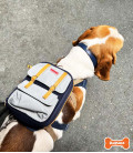 Ruffsack Dale Navy Pet Backpack