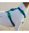 Zee.Dog Neopro Weatherproof Apex Dog H-Harness