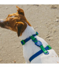 Zee.Dog Neopro Weatherproof Apex Dog H-Harness