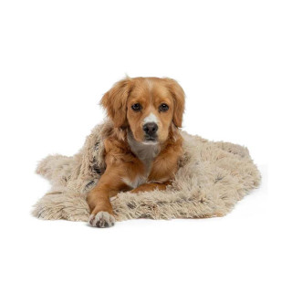 Best Friends By Sheri Shag Throw Blanket Taupe Dog Bed