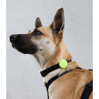 Zee.Dog Lime AirTag Holder