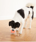 Nina Ottosson Topsy Treat Interactive Ball Puzzle & Treat Maze Dog Toy