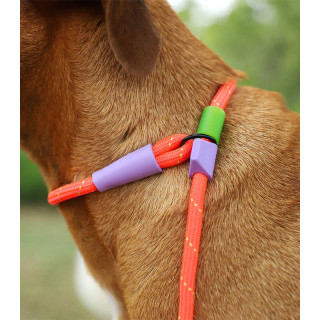 Zee.Dog Slip-N-Lock Everest Dog Leash