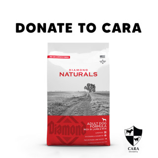 DONATE TO CARA - 1 bag of Dog Dry Food