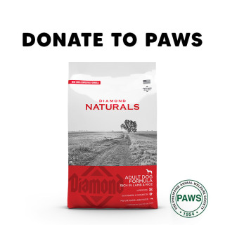 DONATE TO PAWS - 1 bag of Dog Dry Food
