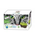 Cat H2o 2L Water Fountain with Bonus Filters & Dental Care Attachment 220v-240v