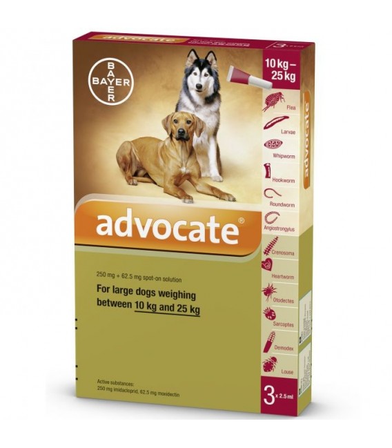 Advocate Flea & Tick Spot On for Large Dogs 10kg to 25kg (3 x 2.5ml pipettes)