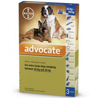 Advocate Flea & Tick Spot On for Extra large Dogs 25kg to 40kg (3 x 4ml pipettes)