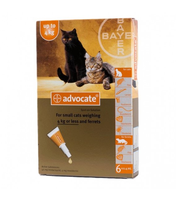 advocate flea treatment for cats