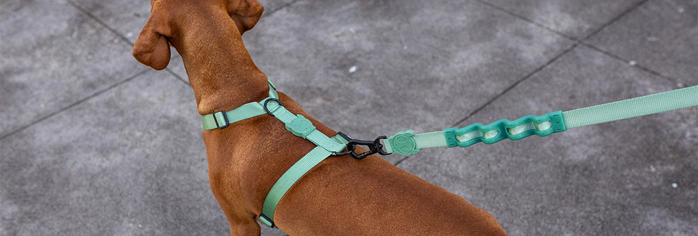 Zee.Dog Solids Army Green Dog H-Harness
