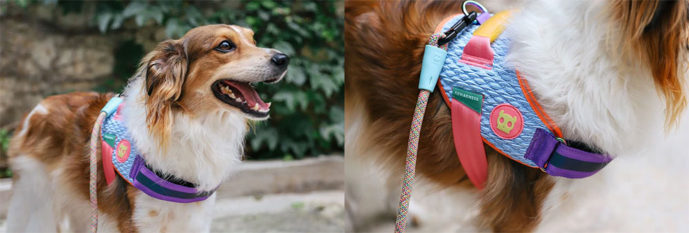 Zee.Dog Galaxy Fly Dog Harness