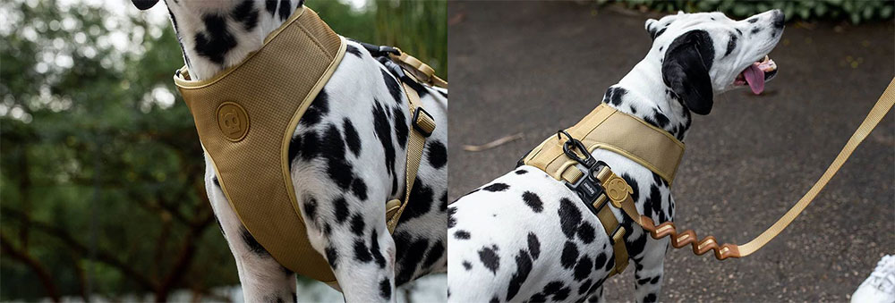 Zee.Dog Solids Adjustable Air Mesh Sand Dog Harness
