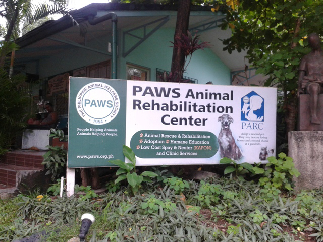 Paws - Pet Warehouse | Philippines