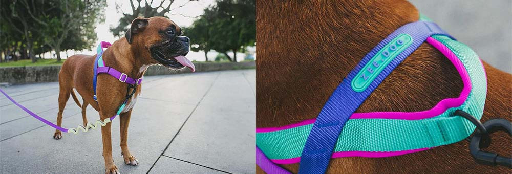 Zee.Dog No-Pull Softer Walk Shockwave Dog Harness